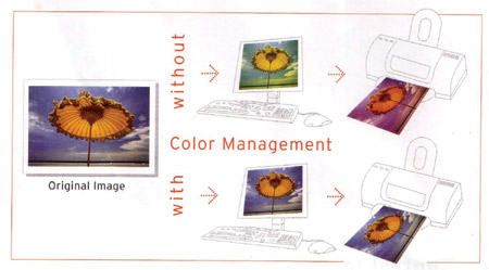 Color Management